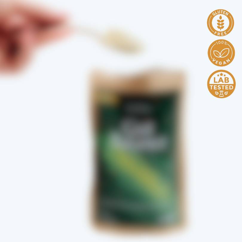 SehhaPlus™ Gut Balance