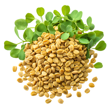 Fenugreek Boost